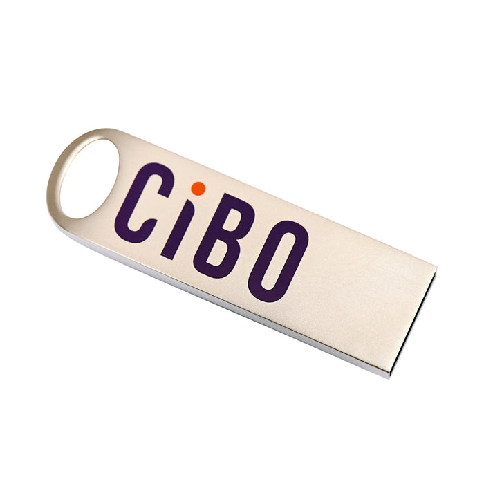 USB Stick for Cibo Ovens